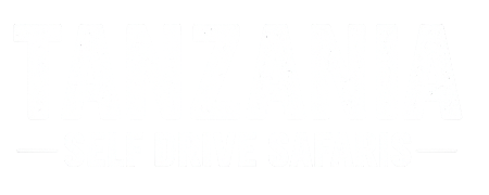 wilddrivetanzania.com