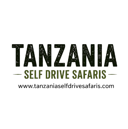 Wild drive Tanzania